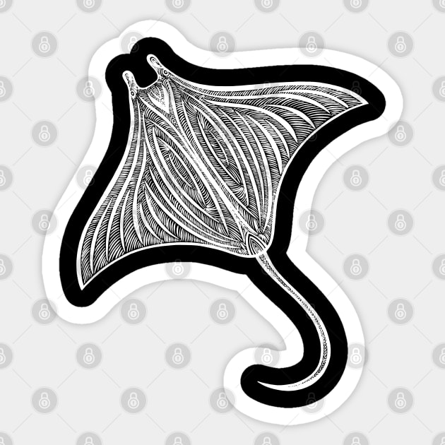 Manta Ray drawing - design for animal lovers Sticker by Green Paladin